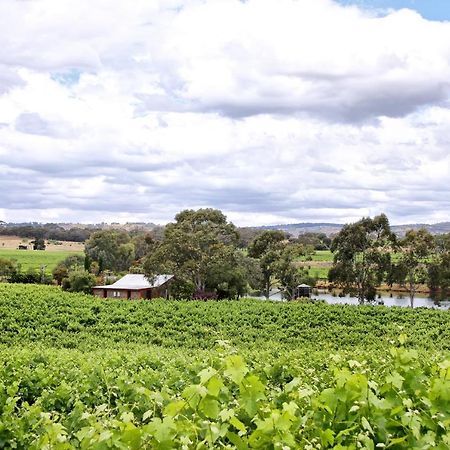 Stonewell Cottages And Vineyards Tanunda Exterior photo