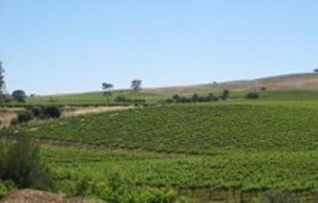 Stonewell Cottages And Vineyards Tanunda Exterior photo