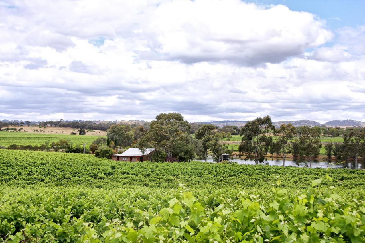 Stonewell Cottages And Vineyards Tanunda Exterior photo